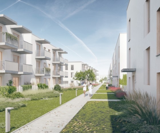 Miniaturka inwestycji Lipa Piotrowska