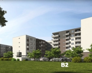 "Złociste Jarzębiny" - Etap IV